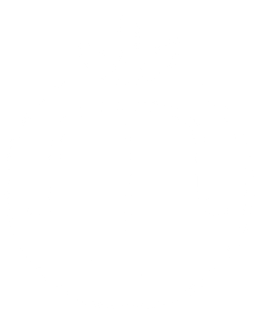 Conscious Life Studio